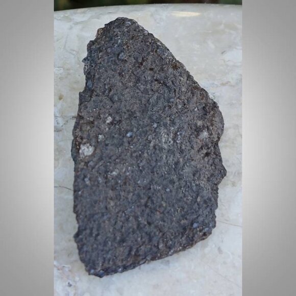 dinosaur bone fossil 02 - Picture 2 of 6